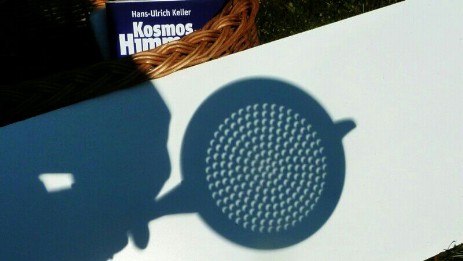 Sonnensicheln Sonnensicheln